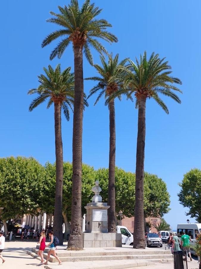 Appartement T4 Tres Bien Situe Et Climatise L'Ile-Rousse  Bagian luar foto